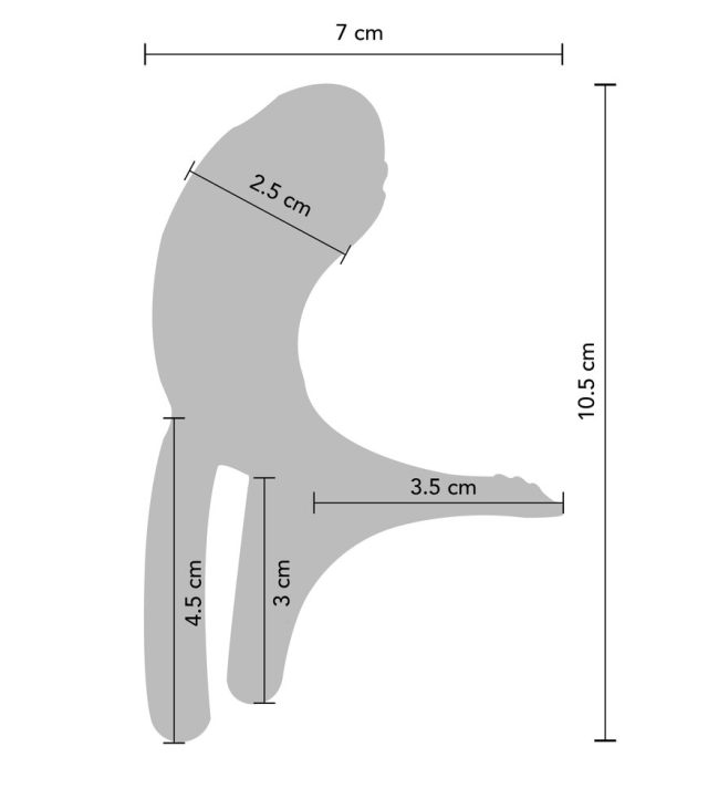 Xocoon Couples Stimulator Ring - Image 4