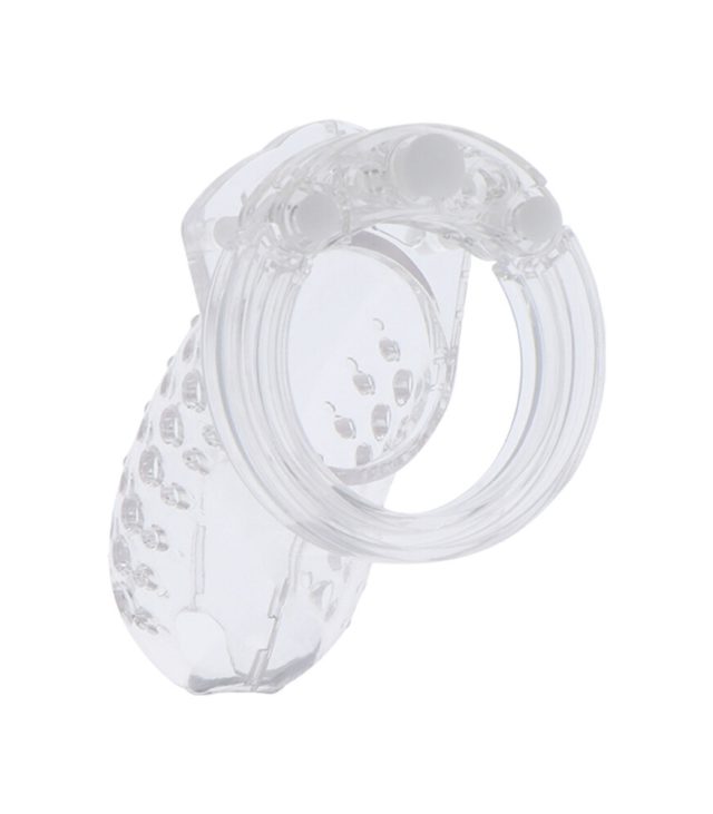 Hidden Desire Extreme Chastity Cock Cage - Image 2