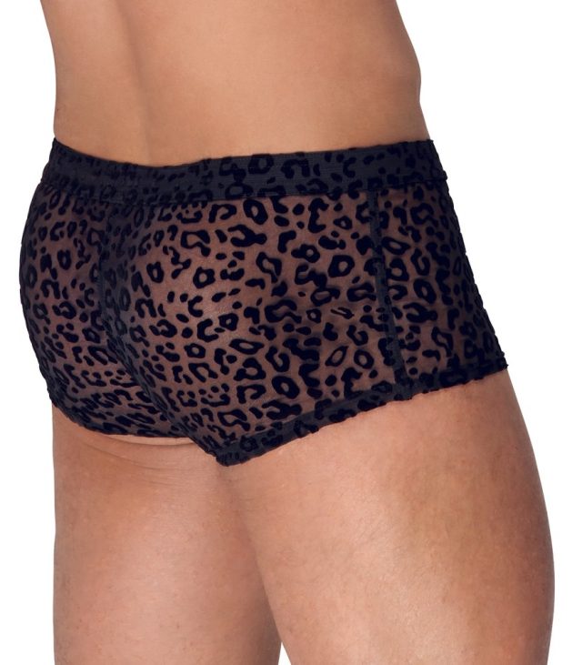 Noir Sheer Animal Print Pants - Image 2
