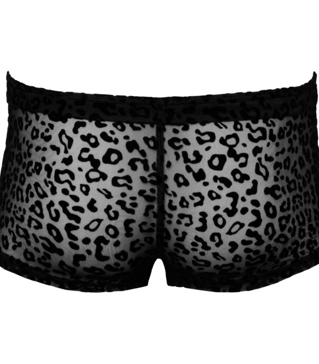Noir Sheer Animal Print Pants - Image 4