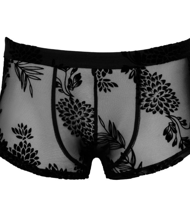 Noir Sheer Floral Lace Pants - Image 3