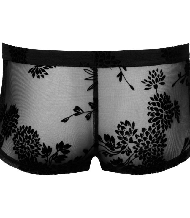 Noir Sheer Floral Lace Pants - Image 4