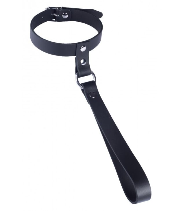 The Red Leather Collar with Short Leash