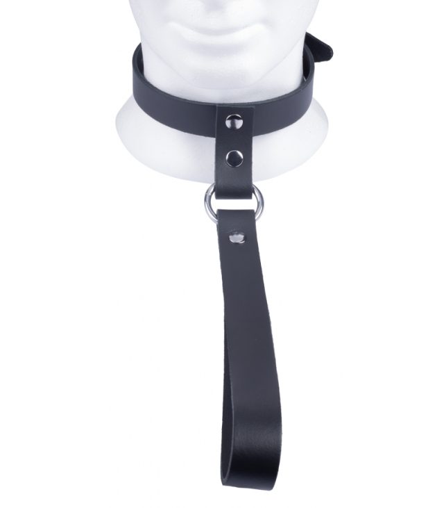 The Red Leather Collar with Short Leash - Image 2