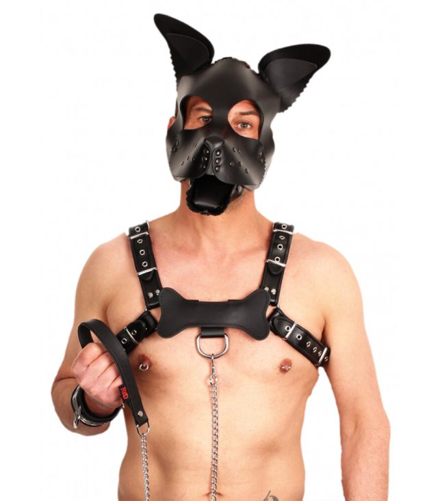 The Red Leather Puppy Dog Mask - Image 2