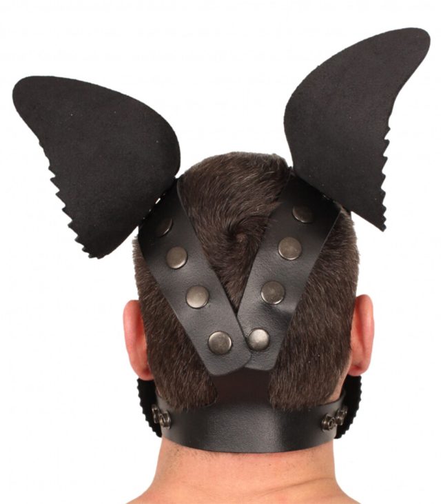 The Red Leather Puppy Dog Mask - Image 3