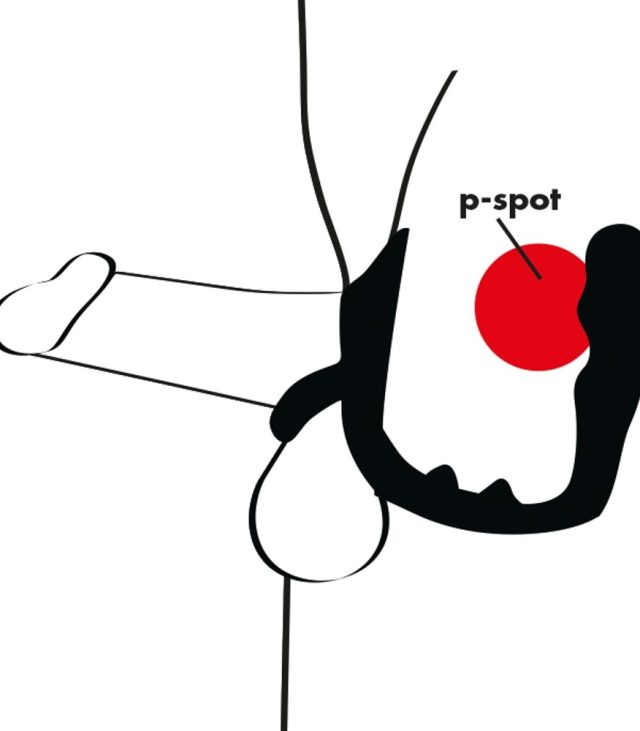 Black Velvets Cock Ring And Anal Plug - Image 2