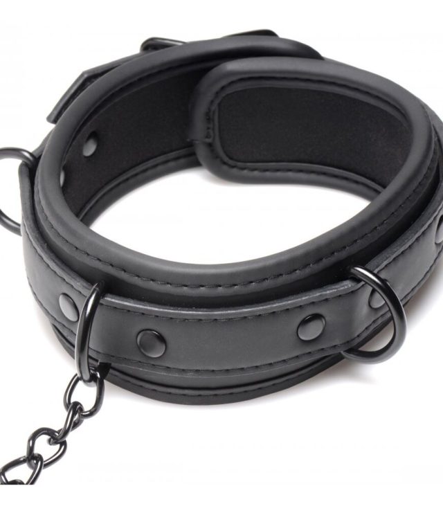 Master Series Collared Temptress - Image 4