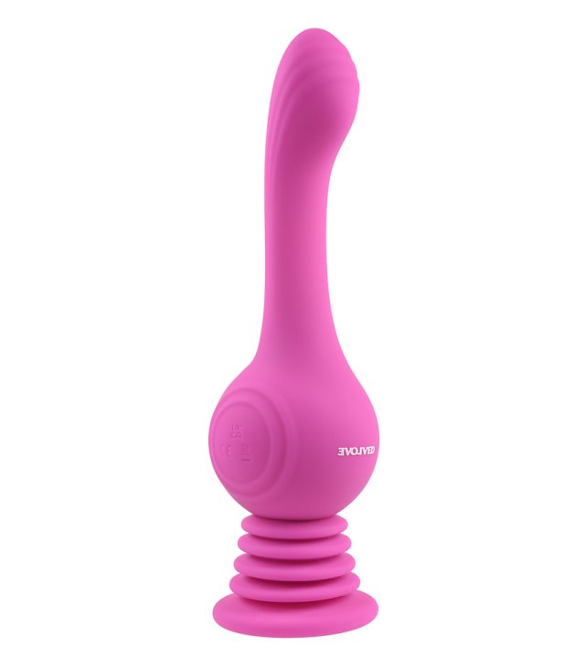 Evolved Gyro Vibe - Image 2