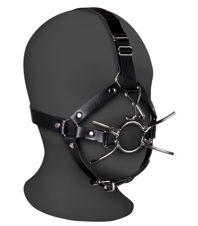 Ouch Xtreme Head Harness With Spider Gag And Nose Hooks