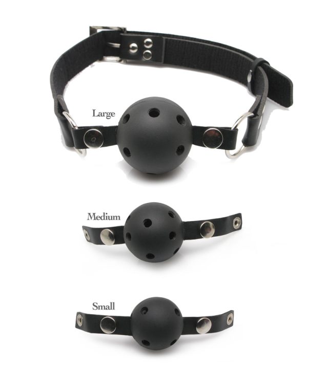 Fetish Fantasy Series Ball Gag Training System