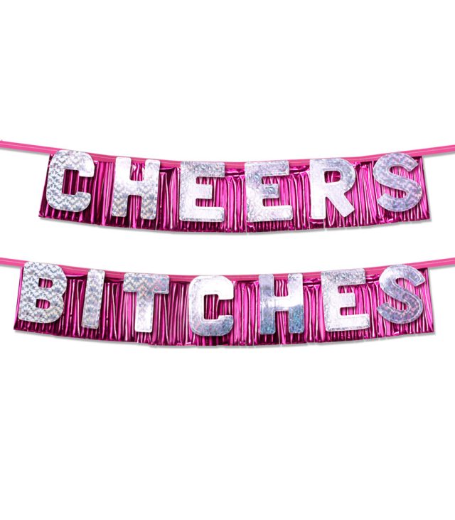 Bachelorette Party Favors Cheers Bitches Party Banner