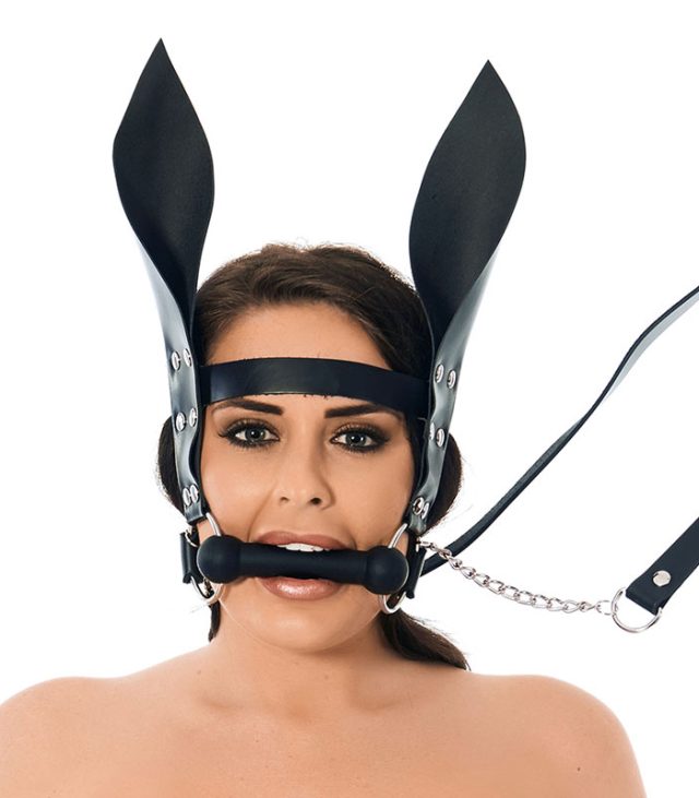 Horsebit Mouth Gag With Reins And Ears