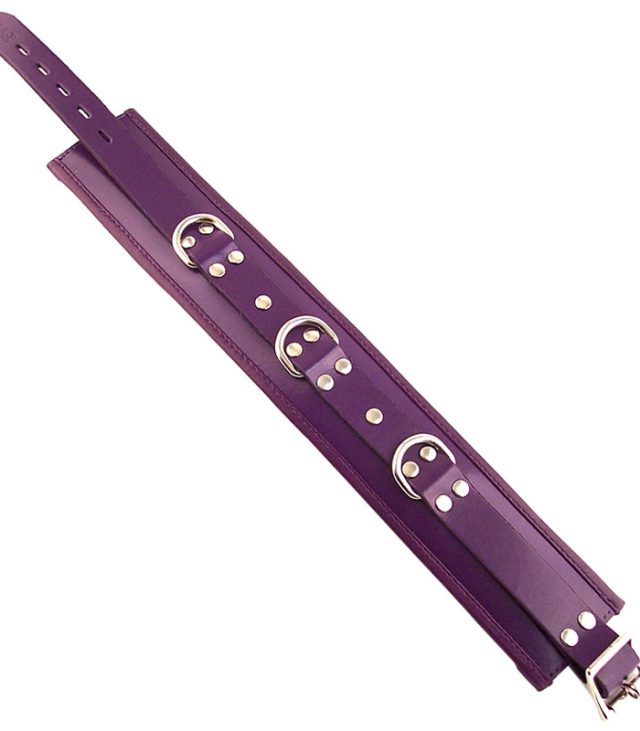 Rouge Garments Purple Padded Collar