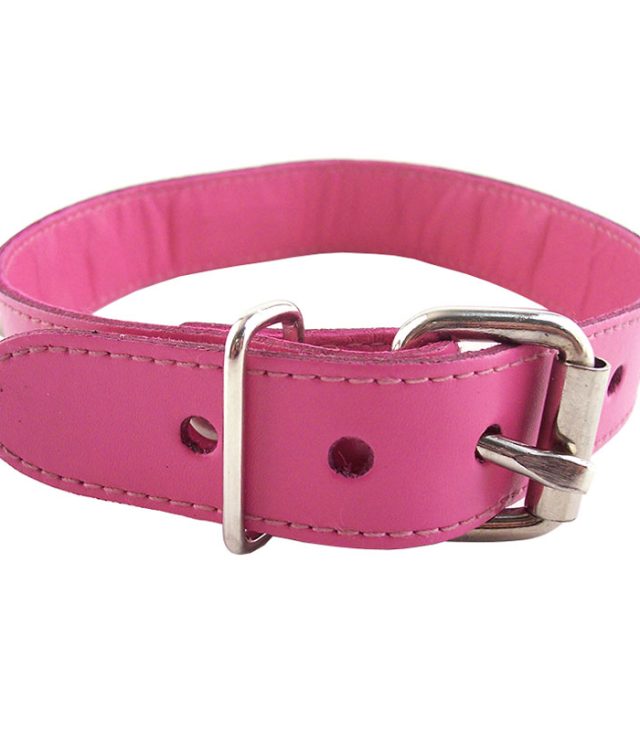 Rouge Garments Pink Studded ORing Studded Collar - Image 2