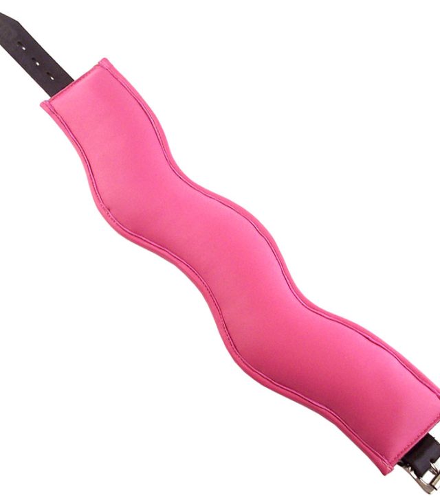 Rouge Garments Black And Pink Padded Posture Collar - Image 2
