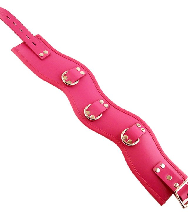 Rouge Garments Pink Padded Posture Collar