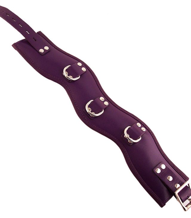 Rouge Garments Purple Padded Posture Collar
