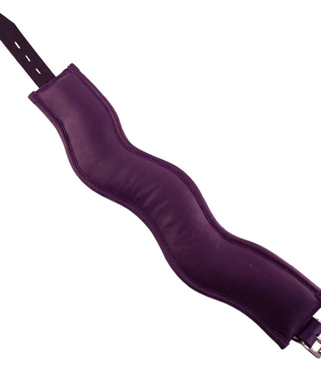 Rouge Garments Purple Padded Posture Collar - Image 2