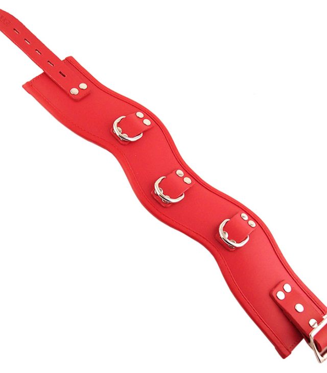 Rouge Garments Red Padded Posture Collar