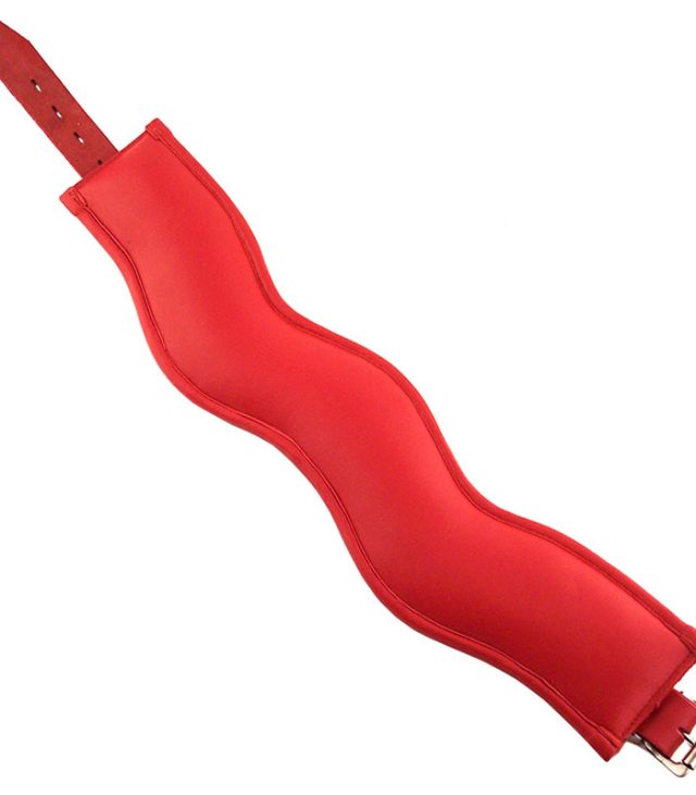 Rouge Garments Red Padded Posture Collar - Image 2