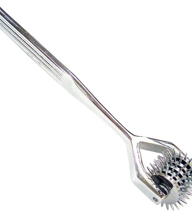 Rouge Stainless Steel 5 Wheel Pin Wheel
