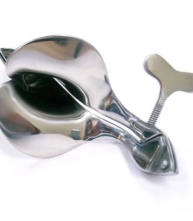 Rouge Stainless Steel Speculum Large - Image 2