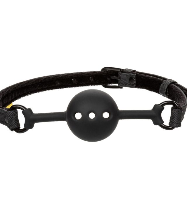 Boundless Breathable Ball Gag