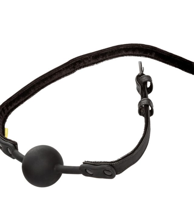 Boundless Ball Gag - Image 2