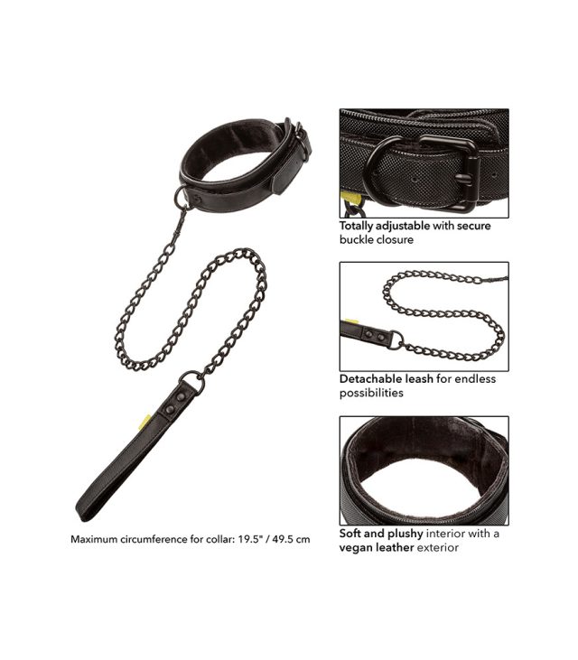 Boundless Collar and Leash - Image 4