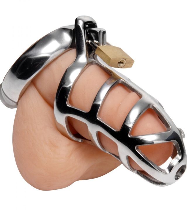 Master Series Chastity Cock Cage - Image 2