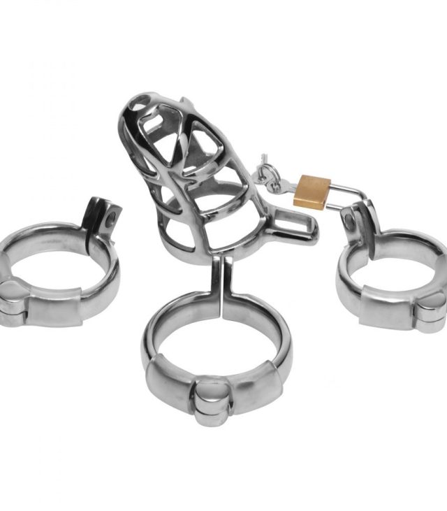 Master Series Chastity Cock Cage - Image 3