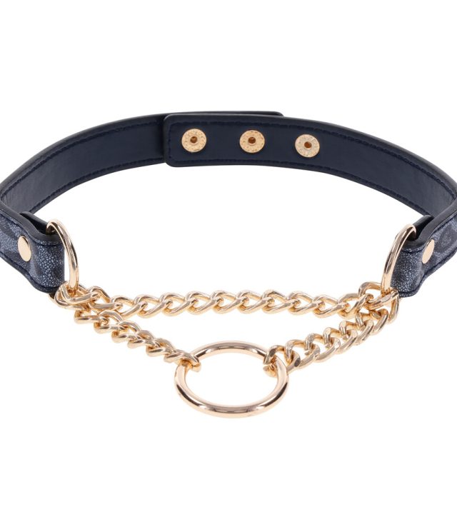 SportSheets Cougar Day Collar