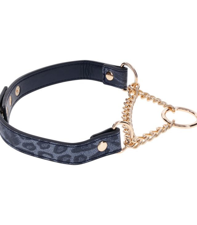 SportSheets Cougar Day Collar - Image 2