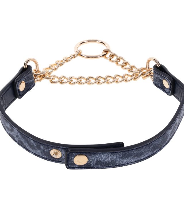 SportSheets Cougar Day Collar - Image 3