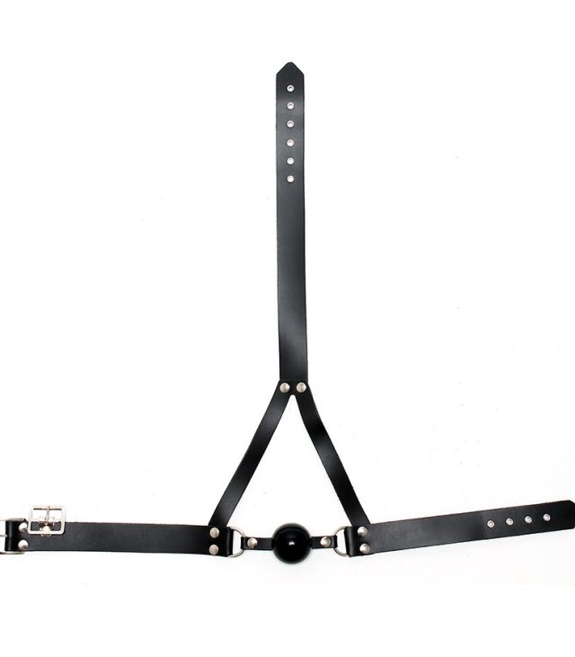 Leather Ball Gag And Head Harness - Image 2