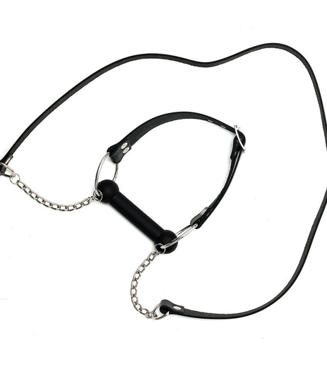 Leather Horse Bit Gag And Reins - Image 2