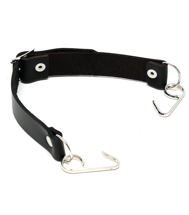 Gag With Smile Hooks