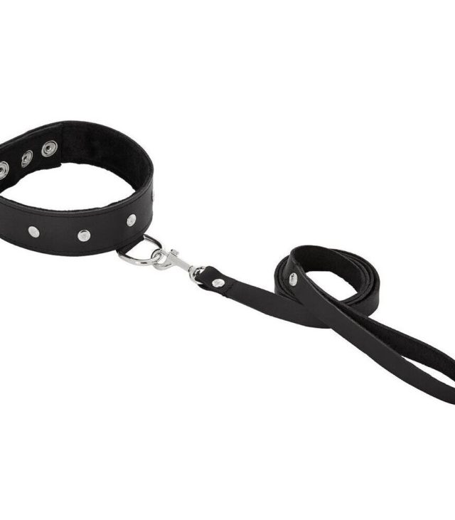 SportSheets Leather Leash And Collar